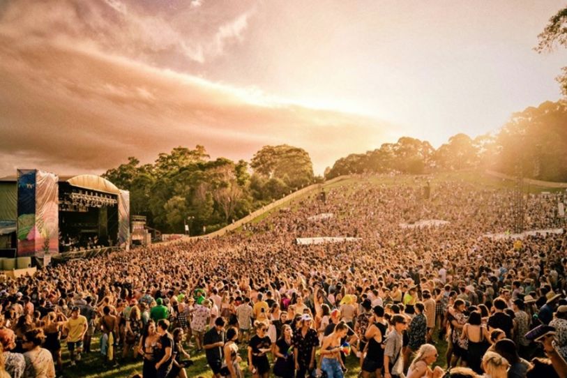 Splendour in the Grass